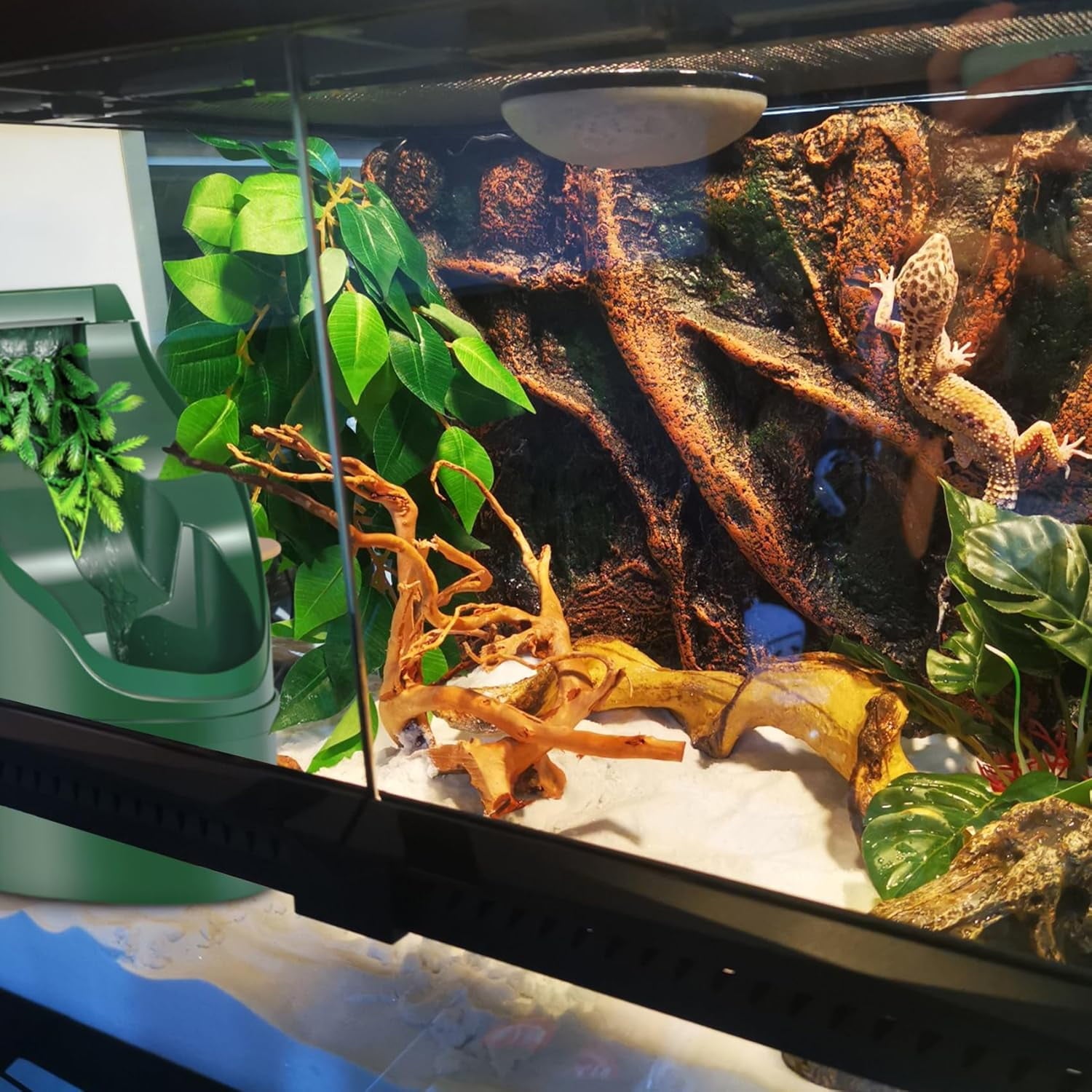 Reptile Water Fountain Reptile Drinking Fountain Water Dispenser with Activated Carbon Filtration Reptile Terrarium Water Dispenser for Amphibians Lizard Turtle Snake Bearded Frog Gecko